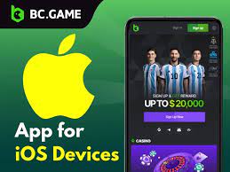 Discover the Exciting World of Bccasino