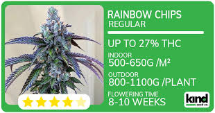 Understanding Weed Seeds Ohio A Comprehensive Guide Understanding Weed Seeds Ohio A Comprehensive Guide