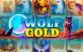 Play Wolf Gold 환상적인 슬롯 경험을 위한 가이드