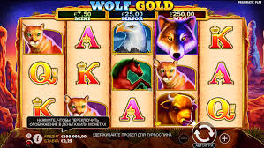 Play Wolf Gold 환상적인 슬롯 경험을 위한 가이드