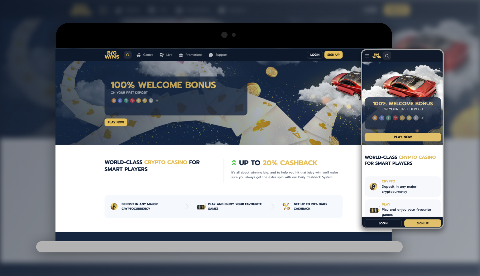Bigwin Casino Evaluation