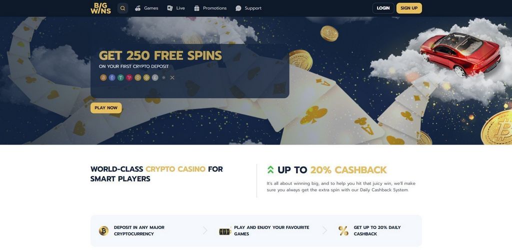 BigWins Online Casino: Gamer Scores & Our Judgment
